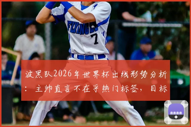 波黑队2026年世界杯出线形势分析：主帅直言不在乎热门标签，目标明确击败卡塔尔